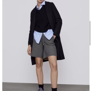 Zara dress coat